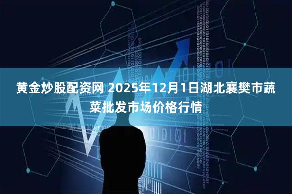 黄金炒股配资网 2025年12月1日湖北襄樊市蔬菜批发市场价格行情