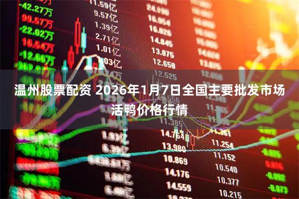 温州股票配资 2026年1月7日全国主要批发市场活鸭价格行情
