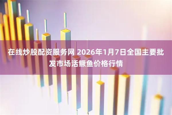 在线炒股配资服务网 2026年1月7日全国主要批发市场活鳜鱼价格行情